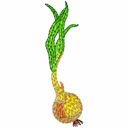 Garlic Embroidery Design 10 Garlic Embroidery Design 10